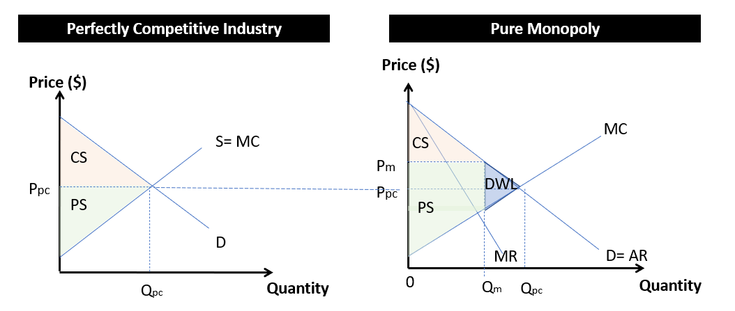 Monopoly & Efficiency - Economics Tuition SG